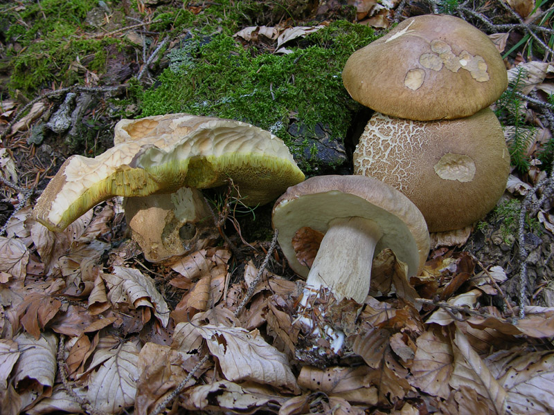 � arrivata l''acqua...speriamo